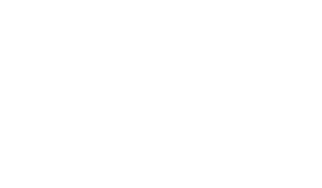 Terreno Logo